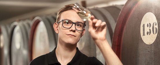 Ein junger Mann mit Brille betrachtet aufmerksam ein Glas Wein in einem Weinkeller, umgeben von Holzfässern.