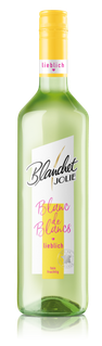 Auf der Flasche steht 'Blanchet Jolie', umgeben von einer hellgrünen Farbe, die ein einladendes und fröhliches Gefühl vermittelt.
