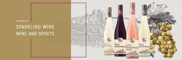 A stylish presentation of different types of wine and grapes on a light background.