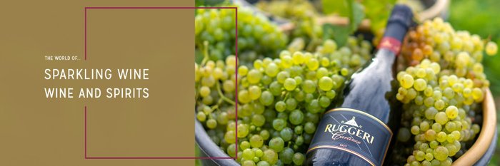 A bottle of Ruggeri Brut lies in a basket among fresh, green grapes, surrounded by lush vineyard greenery.
