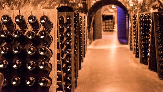 Geldermann: A view into a wine cellar where numerous bottles are stored in a warm, inviting light.