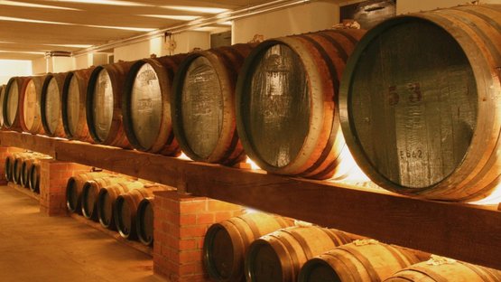 Nordbrand Nordhausen: A row of large wooden barrels stands on shelves in a well-lit wine cellar.
