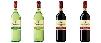 Elegant wine bottles with different varieties