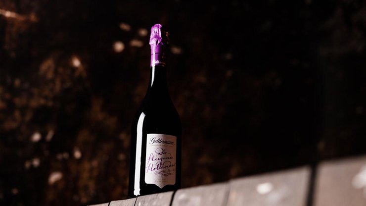 Eine elegante Flasche Wein mit lila Kapsel steht auf einem rustikalen Holzregal vor einem unscharfen, dunklen Hintergrund.