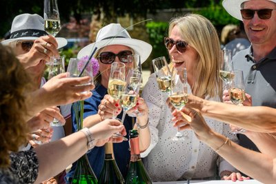 Eine fröhliche Versammlung von Freunden, die mit Sekt anstoßen, umgeben von einer blühenden Landschaft und strahlendem Sonnenschein.