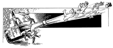 Kloss-Förster success stories