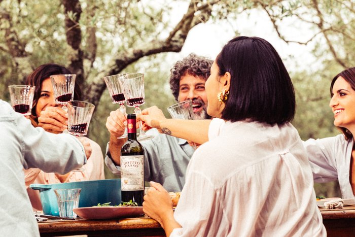 Freunde stoßen mit Rotwein an und genießen das Leben
