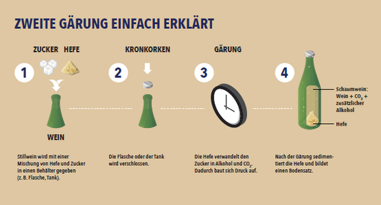 Eine grafische Anleitung zur zweiten Gärung von Wein, die die Schritte mit Zucker, Hefe und Flaschenverschluss zeigt.