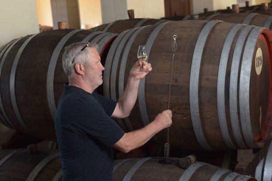Nordbrand Nordhausen: Mit einem Glas in der Hand analysiert der Mann den Wein, während er eine Probe aus einem großen Holzfass nimmt.
