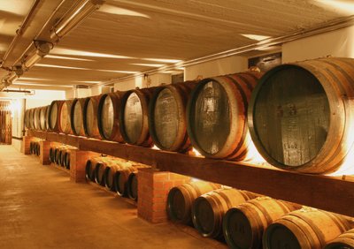 Ein langer Raum mit Holzfässern, die ordentlich auf Regalen stehen, beleuchtet von warmem Licht, schafft eine einladende Atmosphäre.
