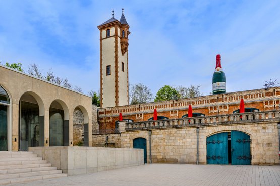 Ein historischer Turm erhebt sich über eine moderne Architektur mit großen Fenstern und Treppen, umgeben von Bäumen.